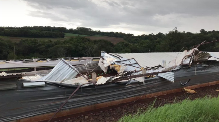 Aviário fica completamente destruído por conta de temporal em Mercedes