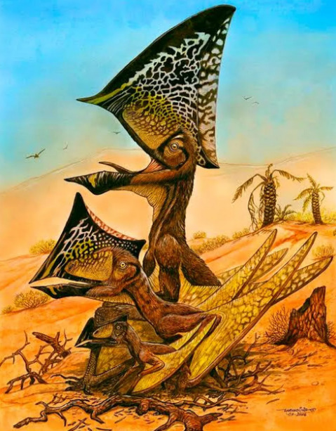 Cruzeiro do Oeste guarda fósseis de animais pré-históricos e dinossauros