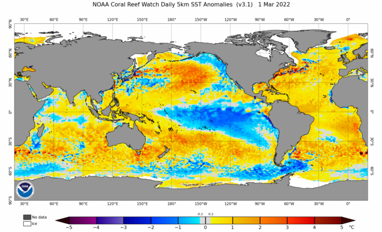 Intensidade do La Niña segue oscilando; veja o que esperar do fenômeno e seus efeitos a longo prazo