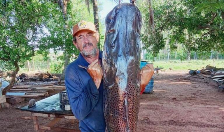 Mais um morador da região fisga peixe “graúdo”; pintado pesou 45 quilos