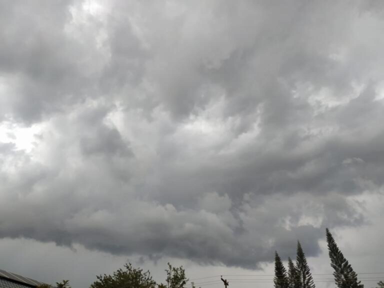 Aumento da chuva favorece umidade do solo em áreas do Sul