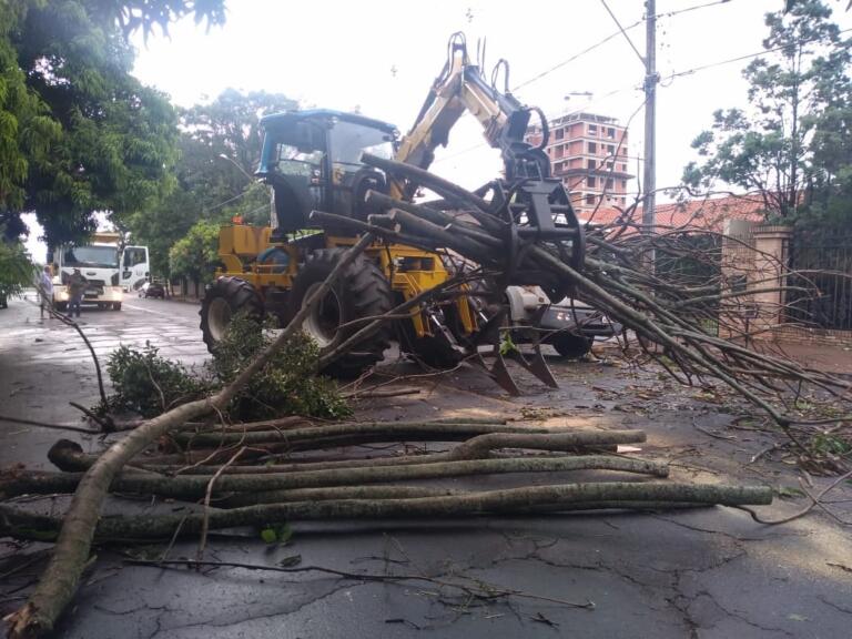 Equipes da prefeitura trabalham na retirada de árvores e galhos das vias públicas após vendaval em Marechal Rondon
