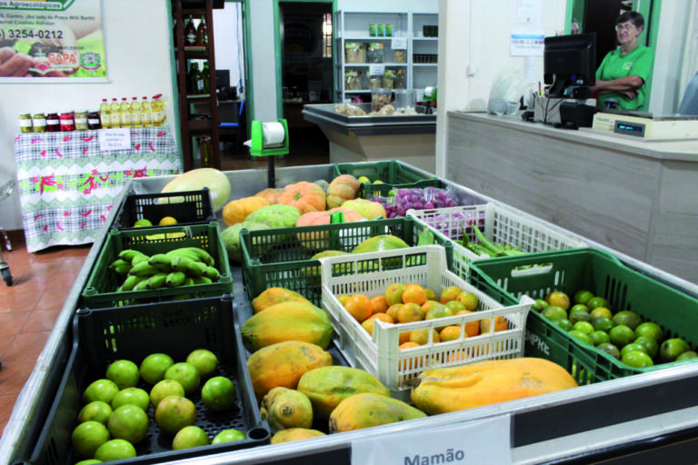 Crianças brasileiras estão mais altas e mais obesas, revela estudo