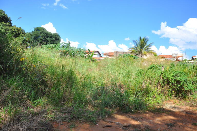 Prefeitura mapeia e fiscaliza terrenos particulares com mato alto em Maripá
