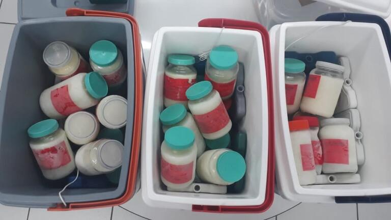 Prestes a completar três anos, Projeto Nutriz coleciona ótimos resultados em Marechal Rondon