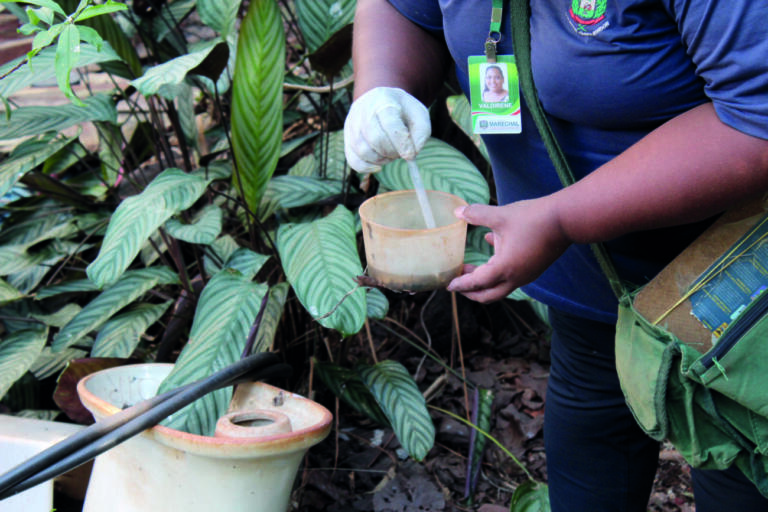 Municípios da 20ª Regional entram em estado de emergência devido à dengue