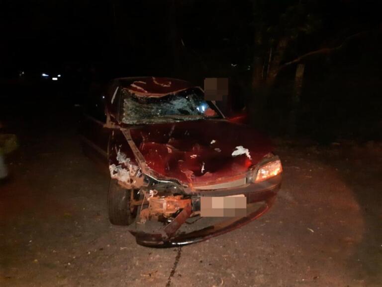 Carro colide contra vaca em rodovia entre Nova Santa Rosa e Marechal Rondon