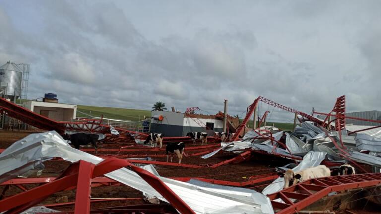Maripá publica decreto de situação de emergência após tempestade; prejuízos ultrapassam R$ 100 milhões
