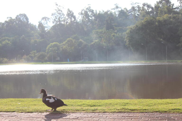 Marechal Rondon amanhece com sensação térmica de 9ºC; veja o que esperar ao longo do dia e no feriado