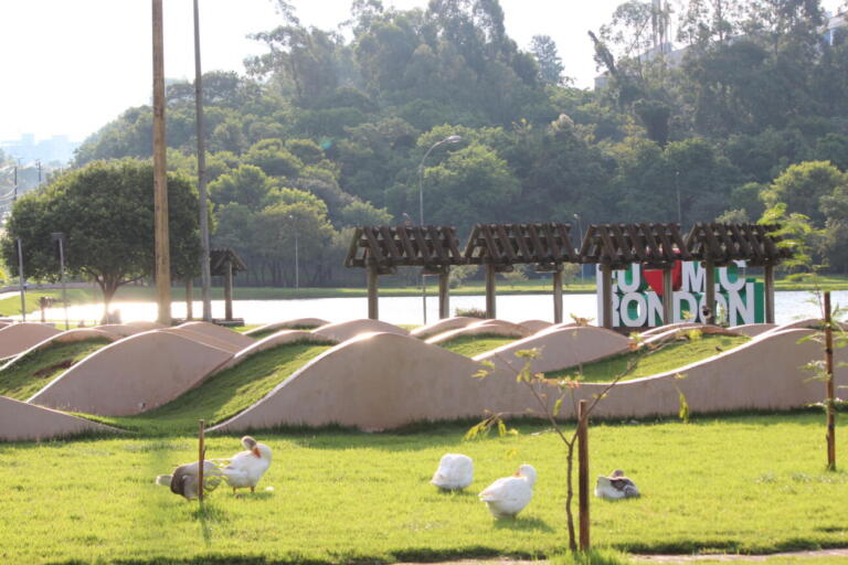 Frente fria avança e traz chuva para o Paraná; semana deve ter temperaturas na casa dos 15°C