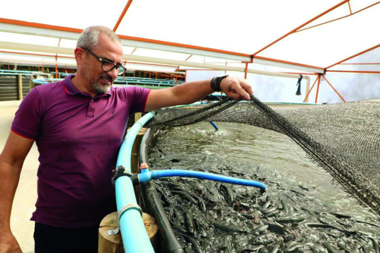 Produtor aposta em cultivo de peixes indoor em região do Paraná considerada incompatível com a piscicultura convencional