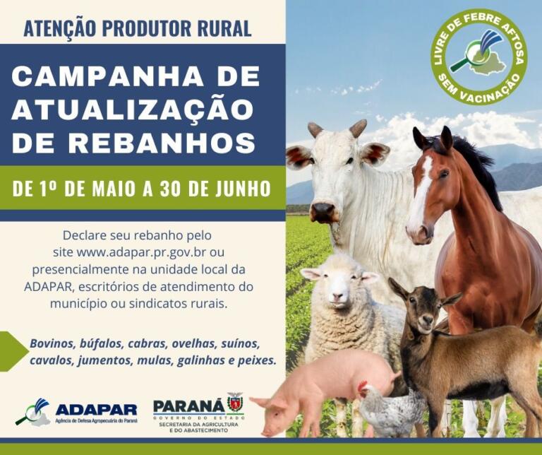 De 366, apenas 205 produtores de Quatro Pontes fizeram atualização dos rebanhos