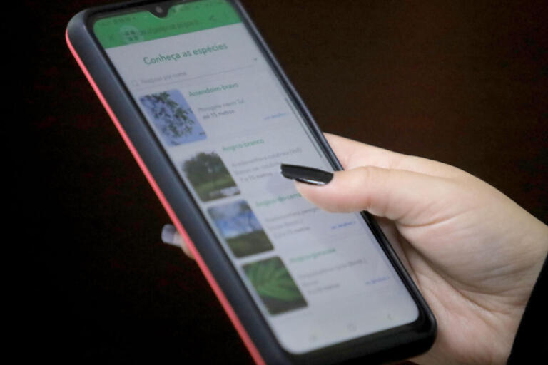 Aplicativo Paraná Mais Verde já pode ser baixado no Google Play