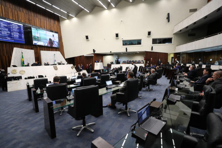 Deputados aprovam projeto que cria o Selo Estadual Empresa Pela Mulher