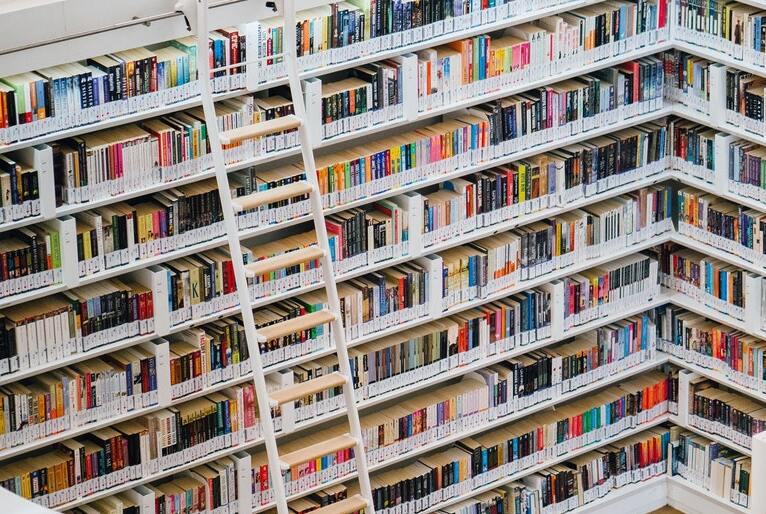 Hábito da leitura: conheça os benefício da prática de ler diariamente