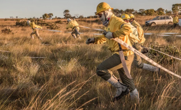 Inscrições para vagas temporárias no Parque Nacional do Iguaçu estão abertas