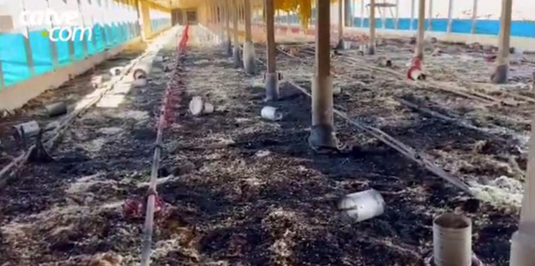 Aviário fica parcialmente destruído em incêndio no interior de Nova Santa Rosa
