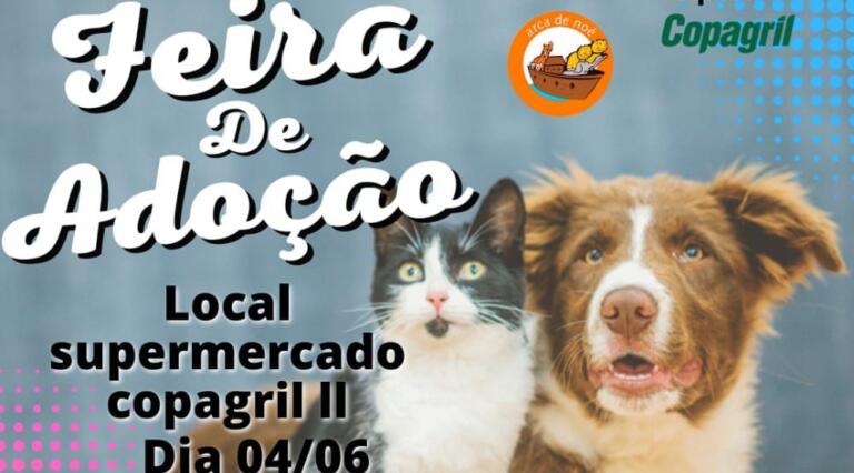 ONG Arca de Noé realiza Feira de Adoção neste sábado em Marechal Rondon