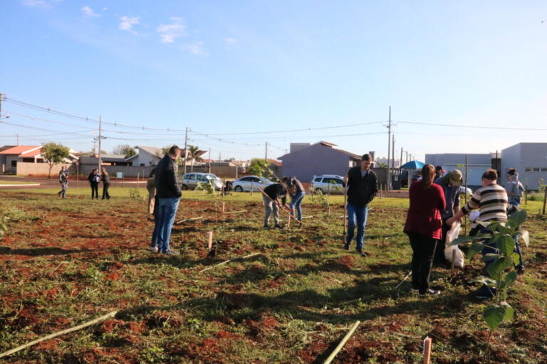 Famílias maripaenses fazem plantio de árvores no Bosque da Vida