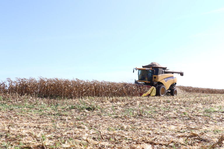 Sancionado remanejamento de R$ 1,2 bi para abertura do Plano Safra