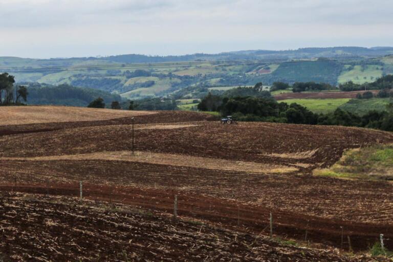 Vazio sanitário da soja começa em 10 de junho no Paraná
