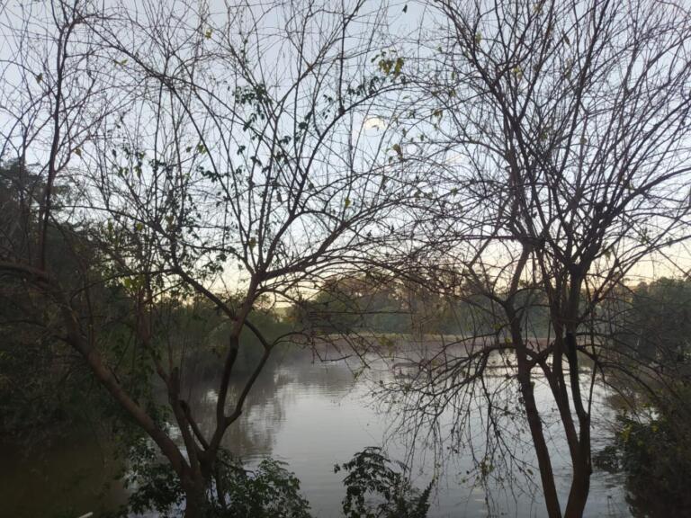 Semana deve ter aumento nas temperaturas e 12,6 mm de chuva em Marechal Rondon