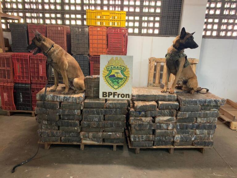 BPFron apreende droga em Santa Helena avaliada em R$ 1 milhão