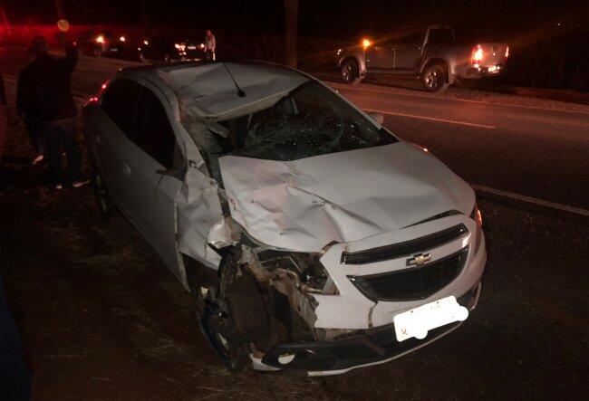 Cavalo é atropelado em frente ao parque industrial de Santa Helena
