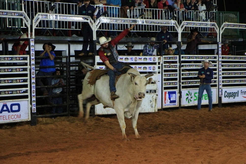 rodeio