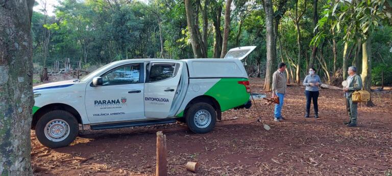 Município e Estado realizam pesquisa que pode prevenir transmissão de doenças em Santa Helena e região