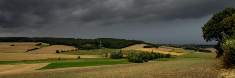 Prazo de entrega do ITR 2022 começa 15 de agosto