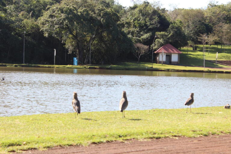 Marechal Rondon tem mais um dia de calor; confira a máxima prevista para esta quarta-feira