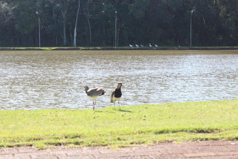 Marechal Rondon tem terça-feira ensolarada; máxima prevista é de 28ºC