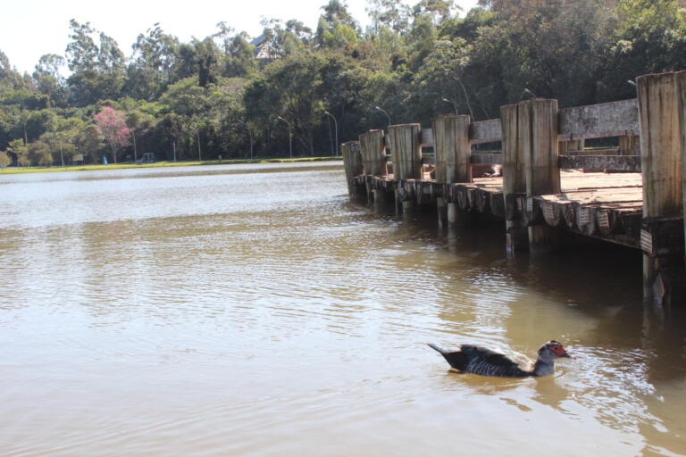 Quinta-feira amanhece com céu aberto, mas chuva deve voltar a dar as caras em Marechal Rondon; confira