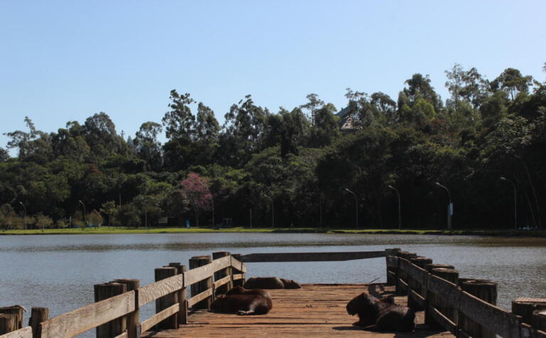 Marechal Rondon tem terça-feira de sol e calor; máxima prevista é de 28ºC