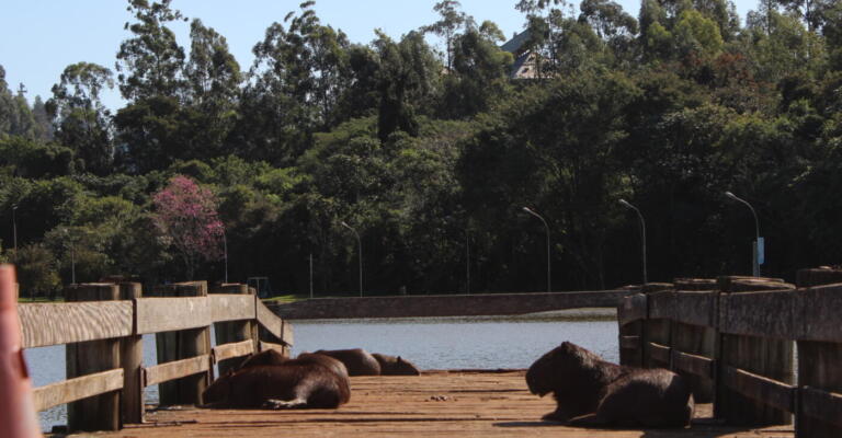 Marechal Rondon tem manhã gelada, mas temperaturas tendem a aumentar no fim de semana; confira