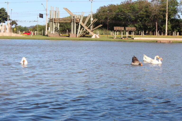 Após sábado com sol em Marechal Rondon, chuva volta amanhã