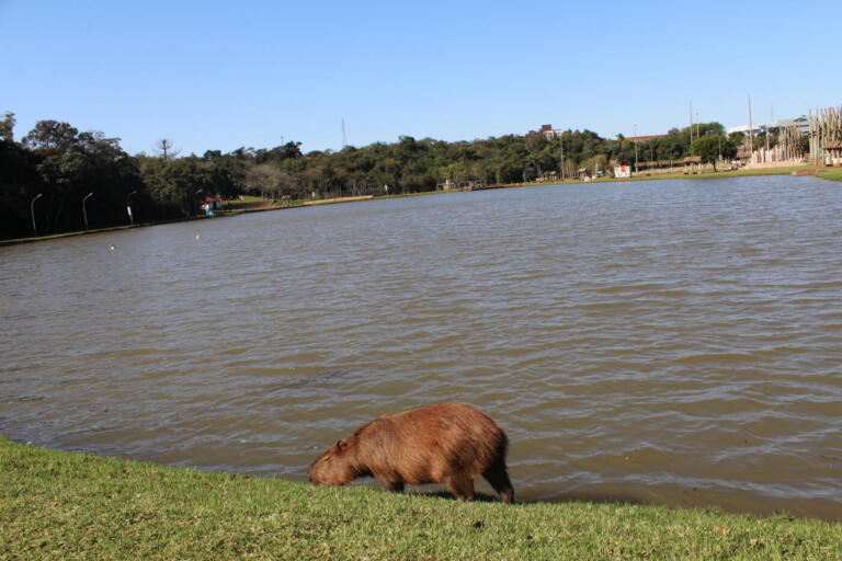 Termômetros devem marcar 31ºC nesta terça-feira em Marechal Rondon