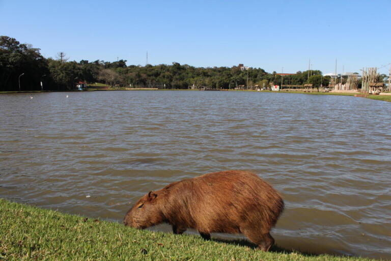 Marechal Rondon amanhece com sensação térmica de 8ºC; máxima prevista para esta terça-feira é de 23ºC