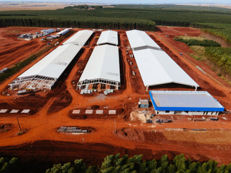 Nova unidade da C.Vale vai produzir 160 mil leitões por ano