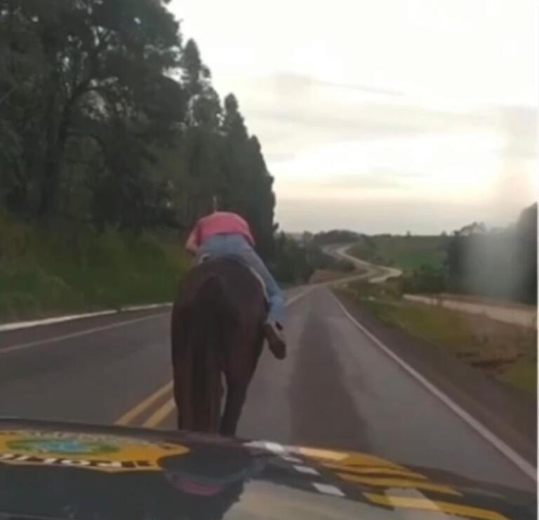 PRF escolta homem bêbado que dormia sobre cavalo em rodovia da região Oeste; veja vídeo