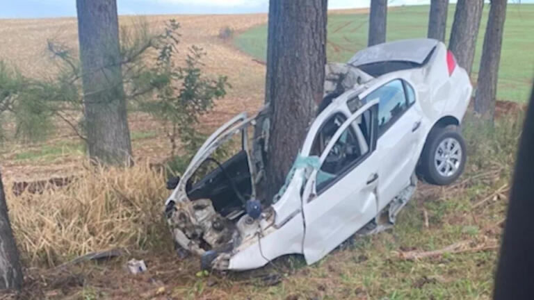 Carro parte ao meio ao bater em árvore e motorista morre