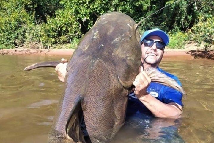 Pescadores capturam jaú com 1,6 metro no Rio Paraná
