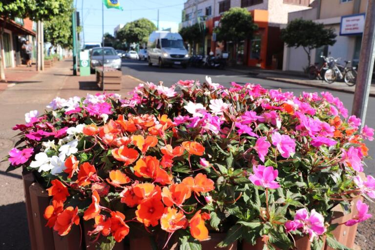 Empresários rondonenses “adotam” floreiras próximas aos seus comércios