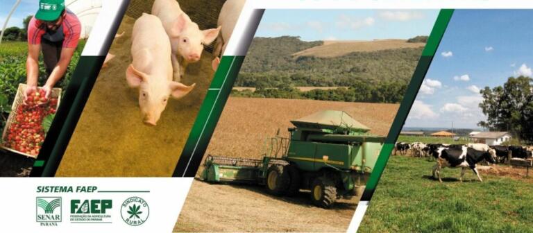 Prazo de entrega do ITR 2022 começa dia 15 de agosto