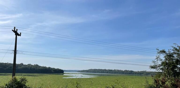 Alta concentração de nutrientes na água muda paisagem no Lago de Itaipu