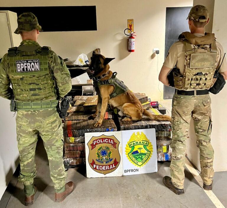 Meia tonelada de maconha é apreendida em meio à mata no interior de Marechal Rondon