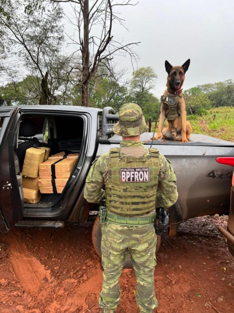 Em quase oito meses, BPFron supera a quantidade de apreensões de drogas em 2021