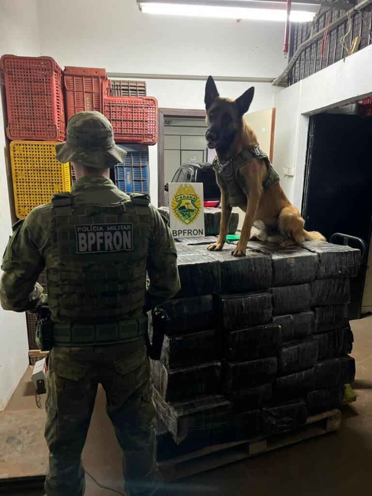 BPFron apreende uma tonelada de maconha em Santa Helena