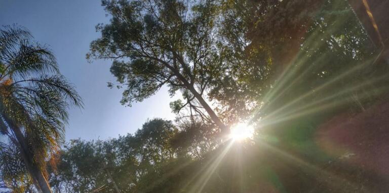 Terça-feira ensolarada em Marechal Rondon; confira